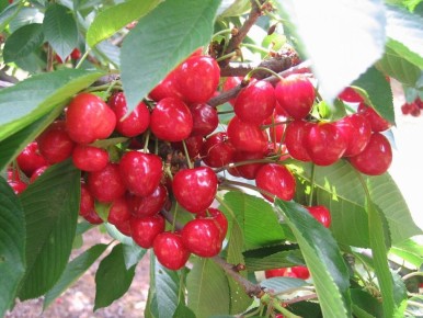 ��� ��������� �������� ����� � ������� ������ ��� �������� ������