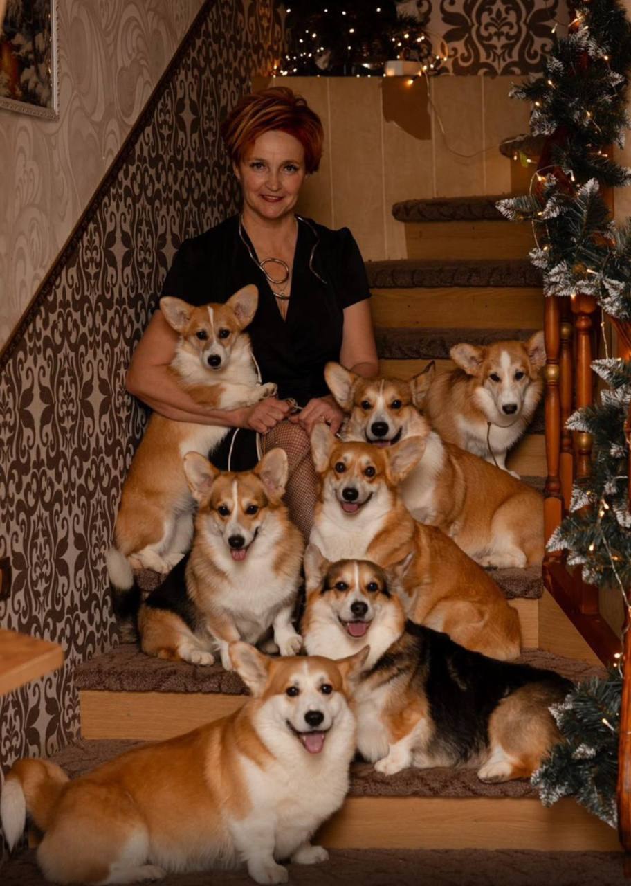 В Сети кубанцы и другие неравнодушные россияне рассказали, что собирают финансовую помощь семье, чей дом в Северском районе Краснодарского края разрушен в результате беспилотной атаки В Сети кубанцы и другие неравнодушные россияне рассказали, что собирают финансовую помощь семье, чей дом в Северском районе Краснодарского края разрушен в результате беспилотной атаки