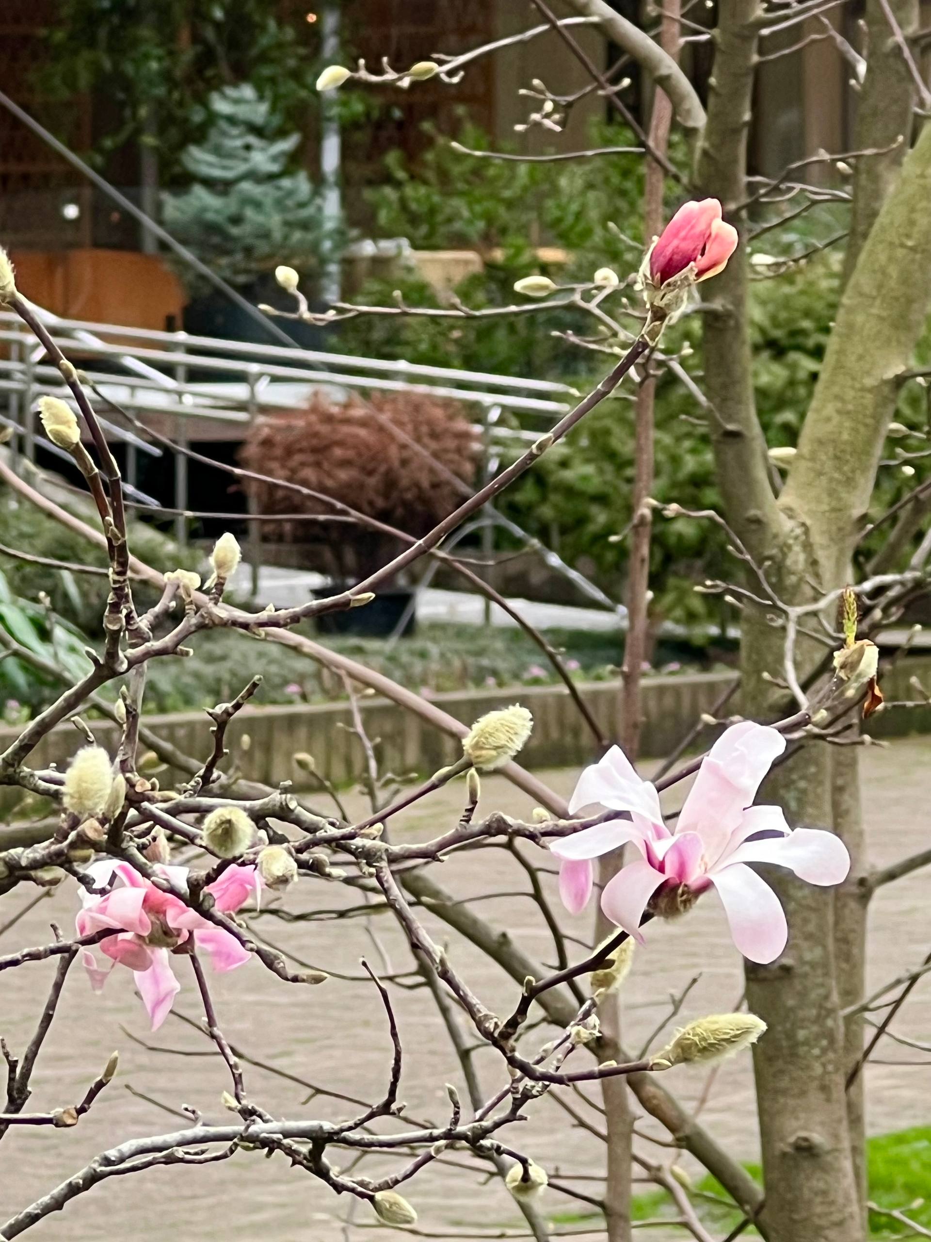 Февраль в Сочи — это когда выходишь в куртке, а через пять минут понимаешь, что она лишняя