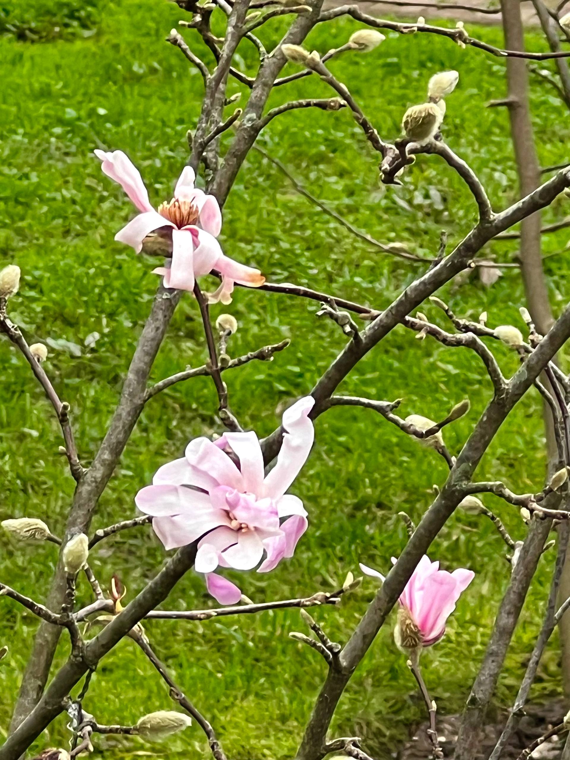 Февраль в Сочи — это когда выходишь в куртке, а через пять минут понимаешь, что она лишняя Февраль в Сочи — это когда выходишь в куртке, а через пять минут понимаешь, что она лишняя