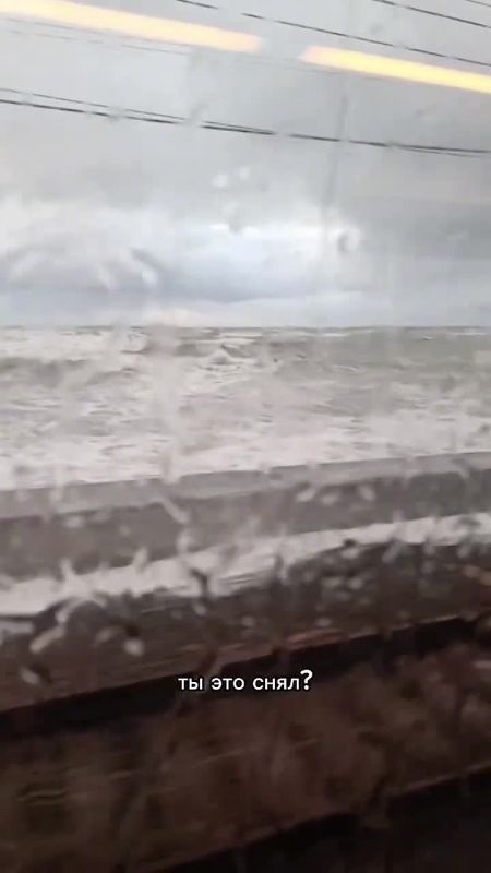 ������ ���� ���������� �������� ���������� � ����