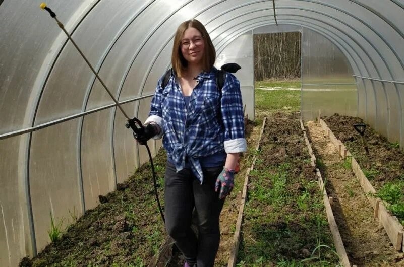 Как защитить теплицу от белокрылки: ключевые меры на осень