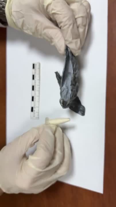 ������ ������� ������ ����� ������������ ������: ������� ������������� ������������� � �������� �������� ����������