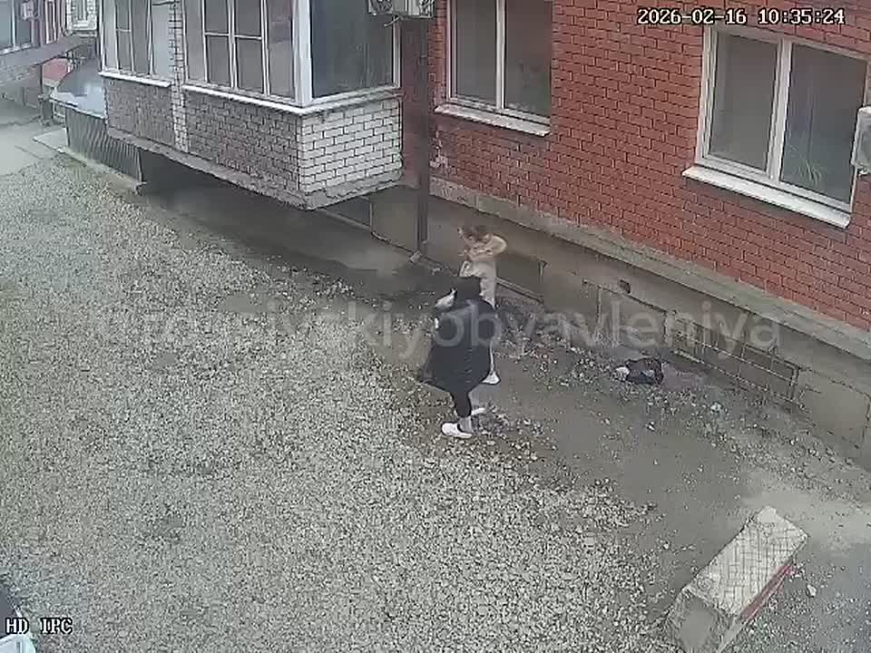 Приведи в порядок свою планету