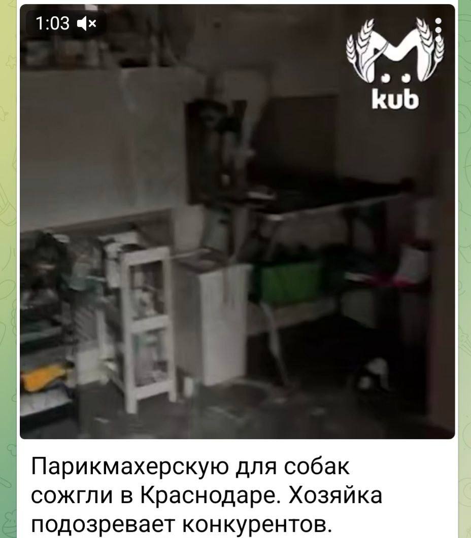 В преддверии Дня защитника Отечества в Управлении МВД России по городу Краснодару поздравили ветеранов и действующих сотрудников органов внутренних дел В преддверии Дня защитника Отечества в Управлении МВД России по городу Краснодару поздравили ветеранов и действующих сотрудников органов внутренних дел