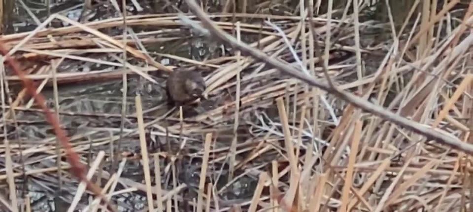 ����� �� ������� ������ �� ������ � ������� ������