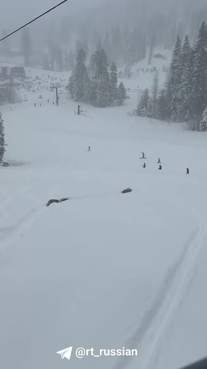 ��������� ��������� ��������� � �������� ��������