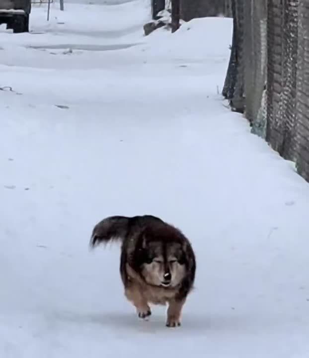 ��� ��� �� �����, �� 3, 2, 1 ��������� �����, �������� ����� �������� � �������-����������� � �������� ������� �����