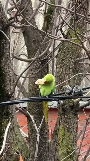 ������� ������� ���� ������ ����� ����� ������� � ����������