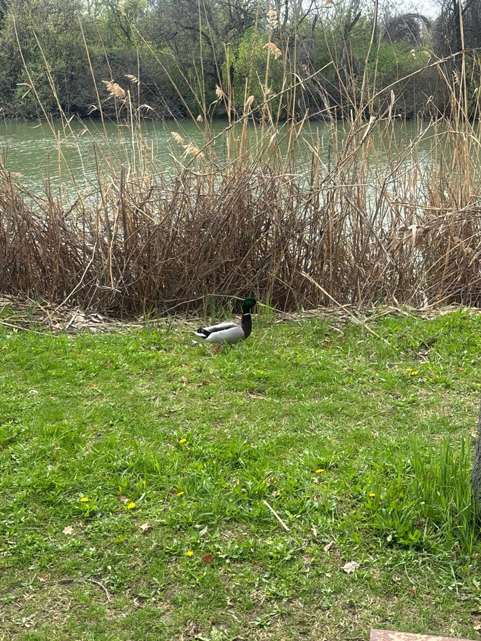 Сегодня будет пасмурно, но относительно тепло Сегодня будет пасмурно, но относительно тепло