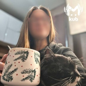 ���������� �������� �������� ������� � ���