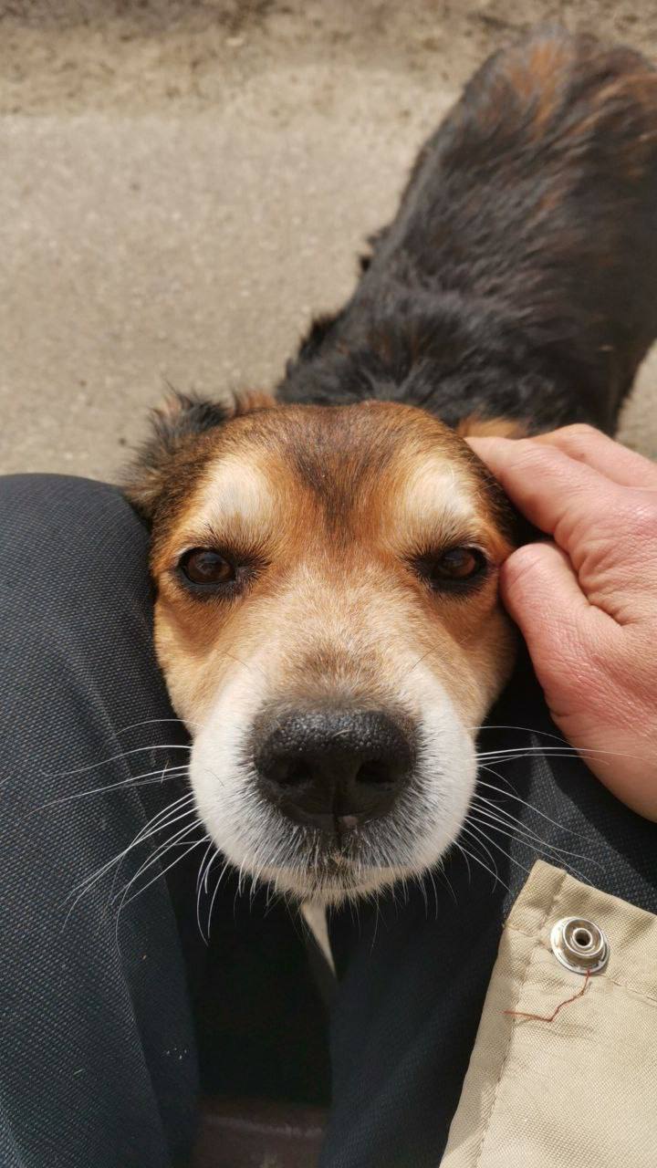 О погоде на 21 февраля. В Краснодарском крае переменная облачность О погоде на 21 февраля. В Краснодарском крае переменная облачность