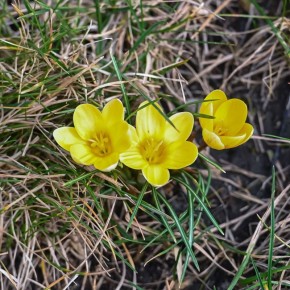 ������� ����������� � ����� ���������