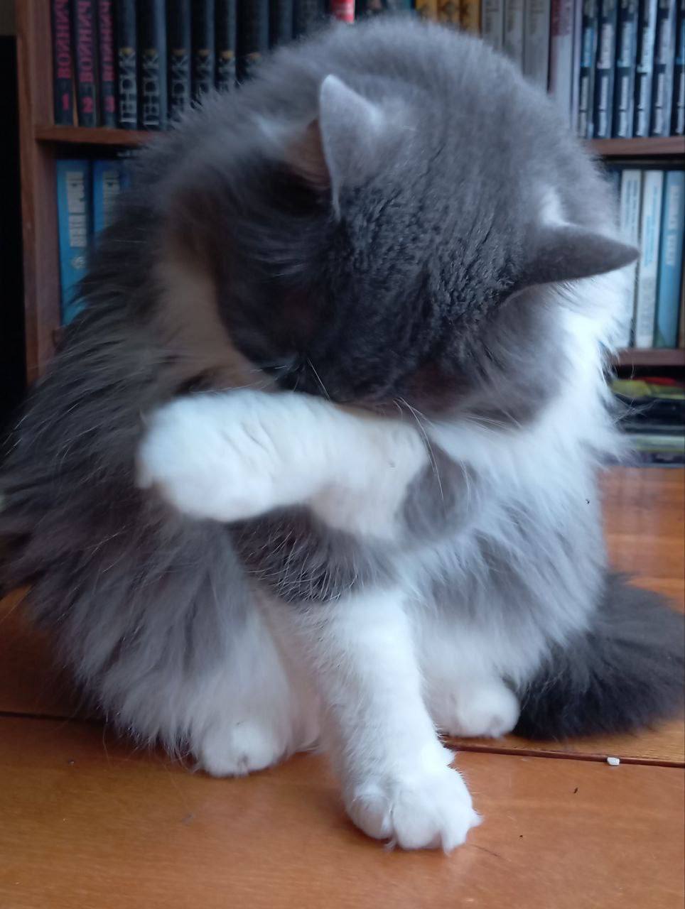 О погоде на 21 февраля. В Краснодарском крае переменная облачность О погоде на 21 февраля. В Краснодарском крае переменная облачность