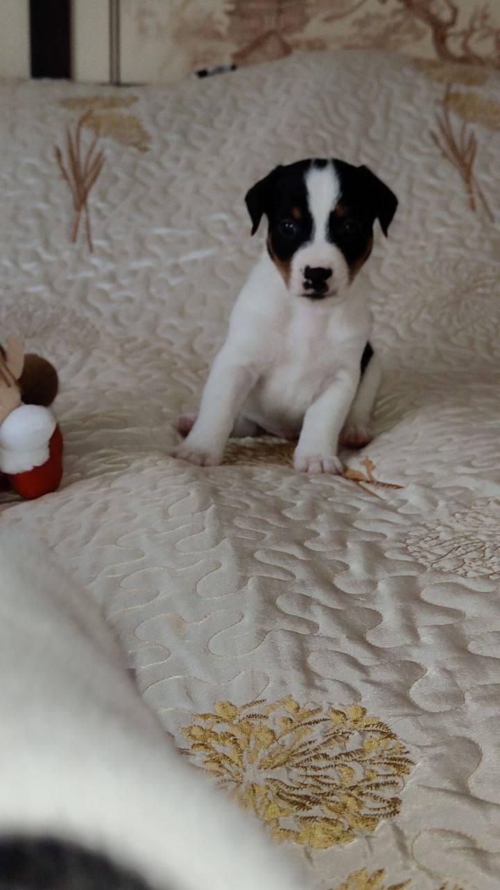 Доброе утро, Кубань!. Краснодар +9 °С Доброе утро, Кубань!. Краснодар +9 °С