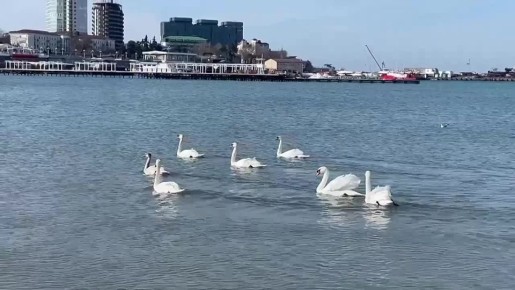 � ��� �� ����������� ����� ����� ������� �����, ���� ���� � ����, � ������