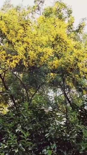 ������� ���� �� ���������� ��������� ������ � ����� ������ ��������� � ����