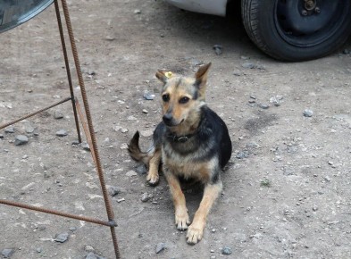 � ���� ������� ����� ������ � ����� �� �����