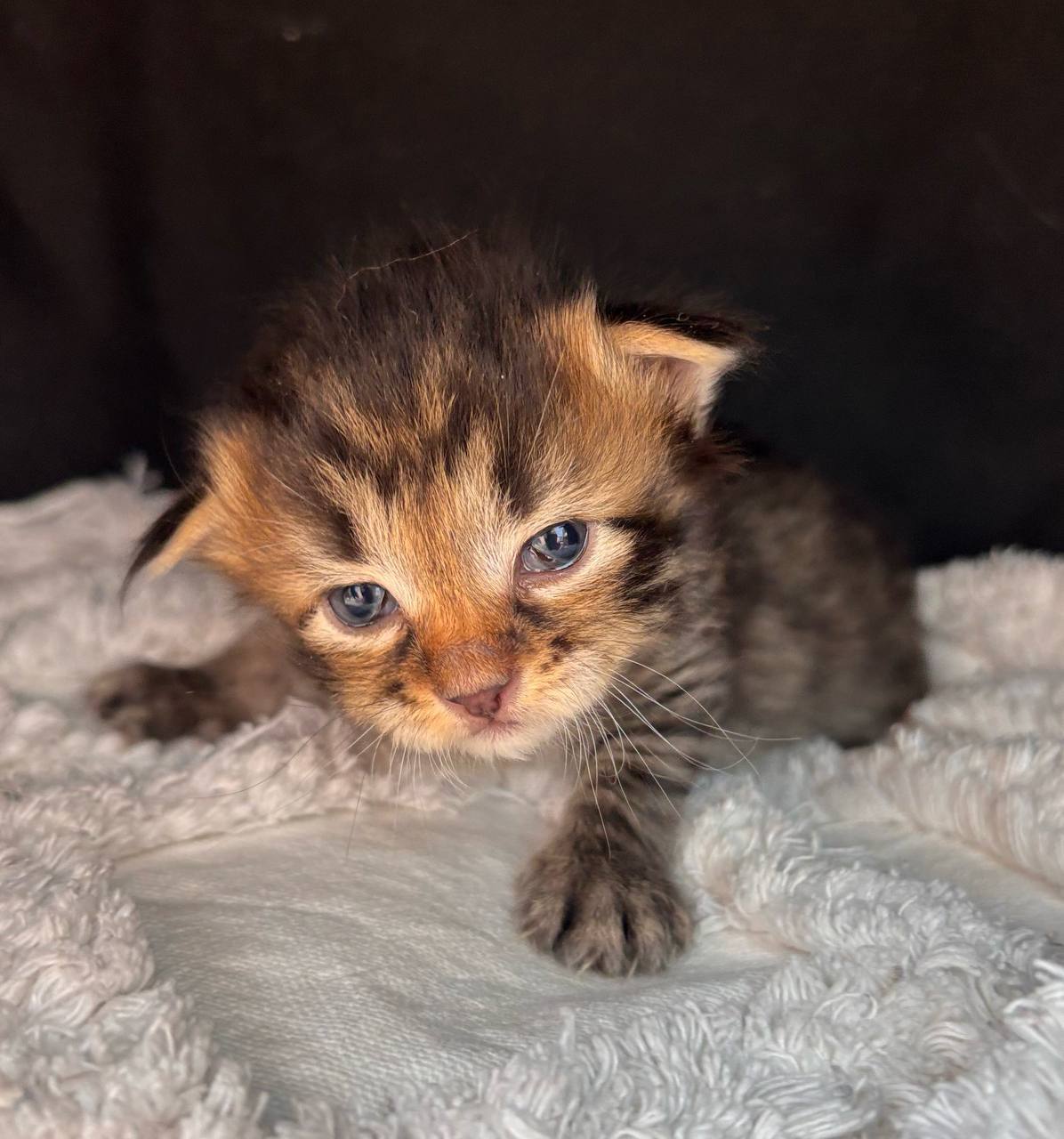 Доброе утро, Кубань!. Краснодар +9 °С Доброе утро, Кубань!. Краснодар +9 °С