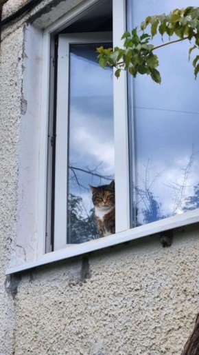 Пока стоит пасмурная погода