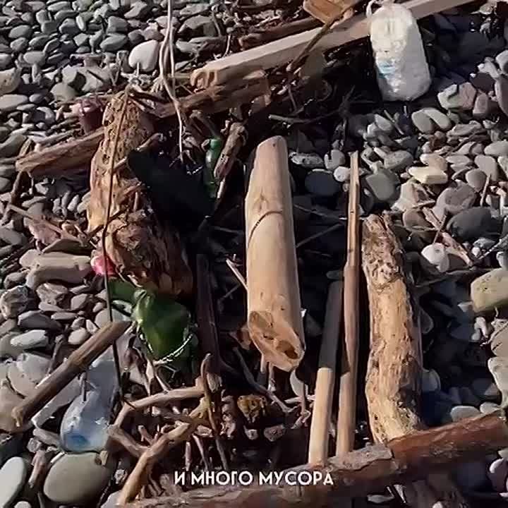 ������ ���� �������� ���� ������� ����