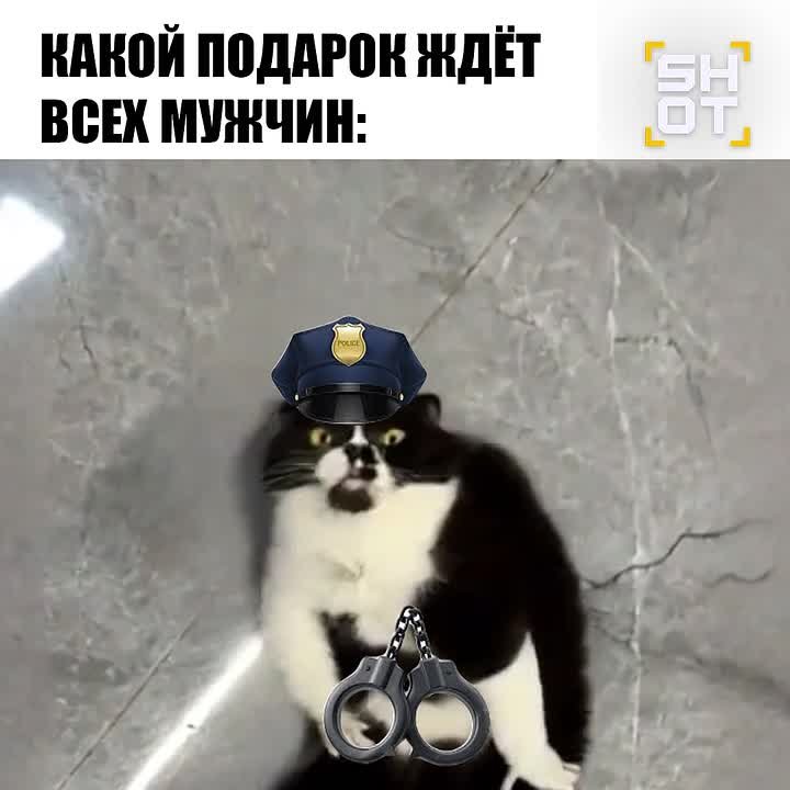 Ну кто бы мог подумать!. Накануне 23 Февраля, когда все нормальные люди думают о подарках для мужчин в виде носков и шампуня, некоторые дамы решили проявить особую… заботу