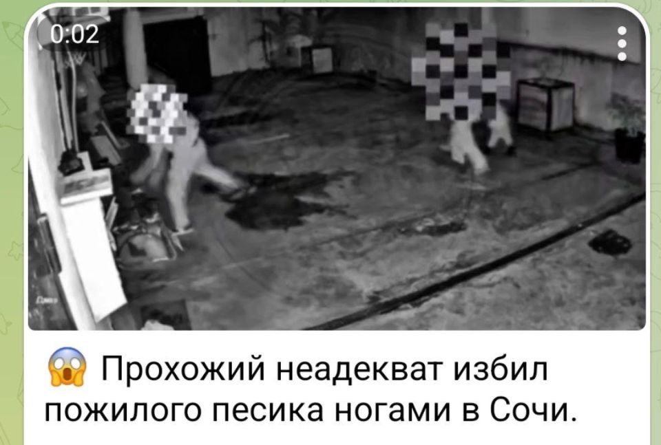 � ���� ����������� ���� �������� ������������ ������� �������� ����������, �� ������� �����������, ��� ����������� ������� �������� �������� �� ���������� ���������������� ���� � ���������� ������ ������ ����