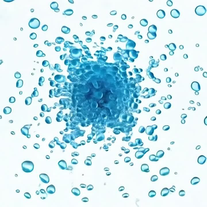 Главное на сегодня:. Прохожий неадекват избил пожилого песика ногами в Сочи До 300 тыс