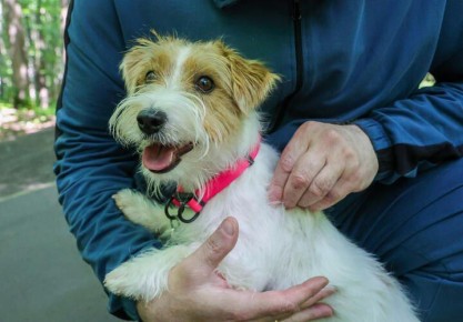 ����������: � �������� ����� ��������� �����