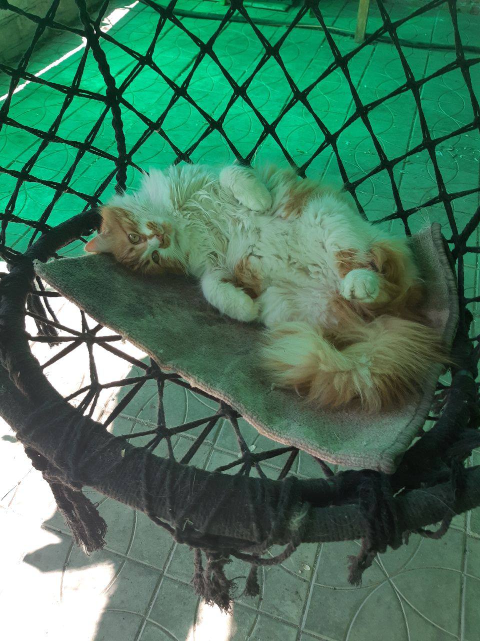 Доброе утро, Кубань!. Краснодар +9 °С Доброе утро, Кубань!. Краснодар +9 °С