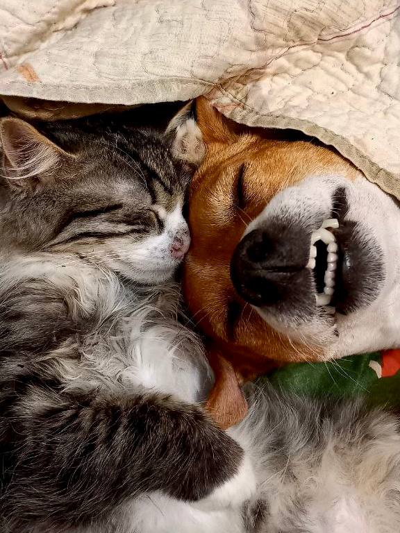 Доброе утро, Кубань!. Краснодар +10 °С Доброе утро, Кубань!. Краснодар +10 °С