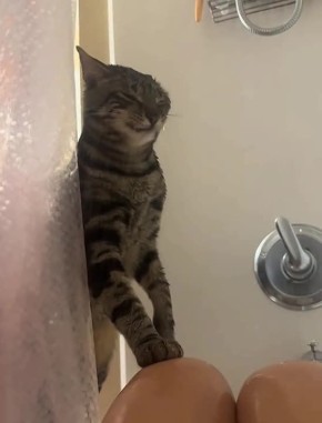 Ҹ�������� �����. �� � MAX