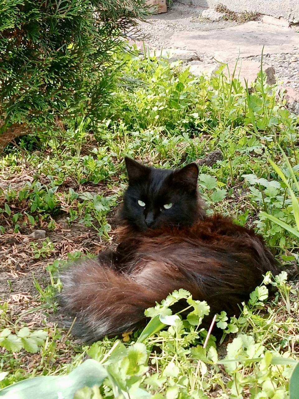 Доброе утро, Кубань!. Краснодар +10 °С Доброе утро, Кубань!. Краснодар +10 °С