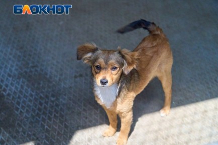 �������� ����� ��������� ����� ������� � ���������� � 24 ������� �� 6 �����