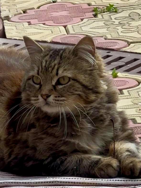 Доброе утро, Кубань!. Краснодар +10 °С Доброе утро, Кубань!. Краснодар +10 °С