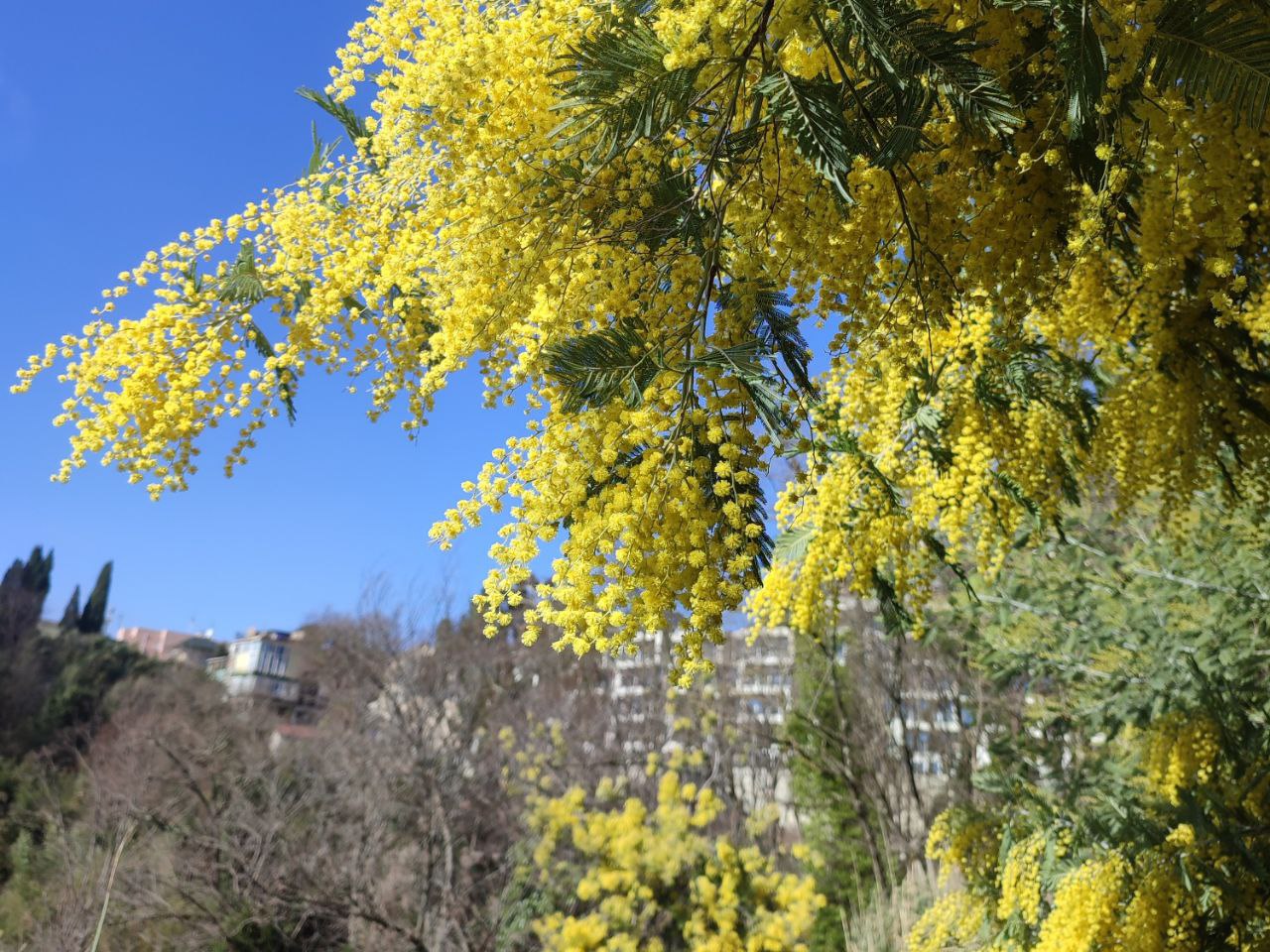 Начнем день с букета. Проснулись, потянулись и улыбнулись! Начинаем день с желтого и солнечного букета Начнем день с букета. Проснулись, потянулись и улыбнулись! Начинаем день с желтого и солнечного букета
