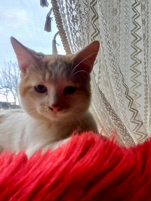 Доброе утро, Кубань!. Краснодар +10 °С Доброе утро, Кубань!. Краснодар +10 °С