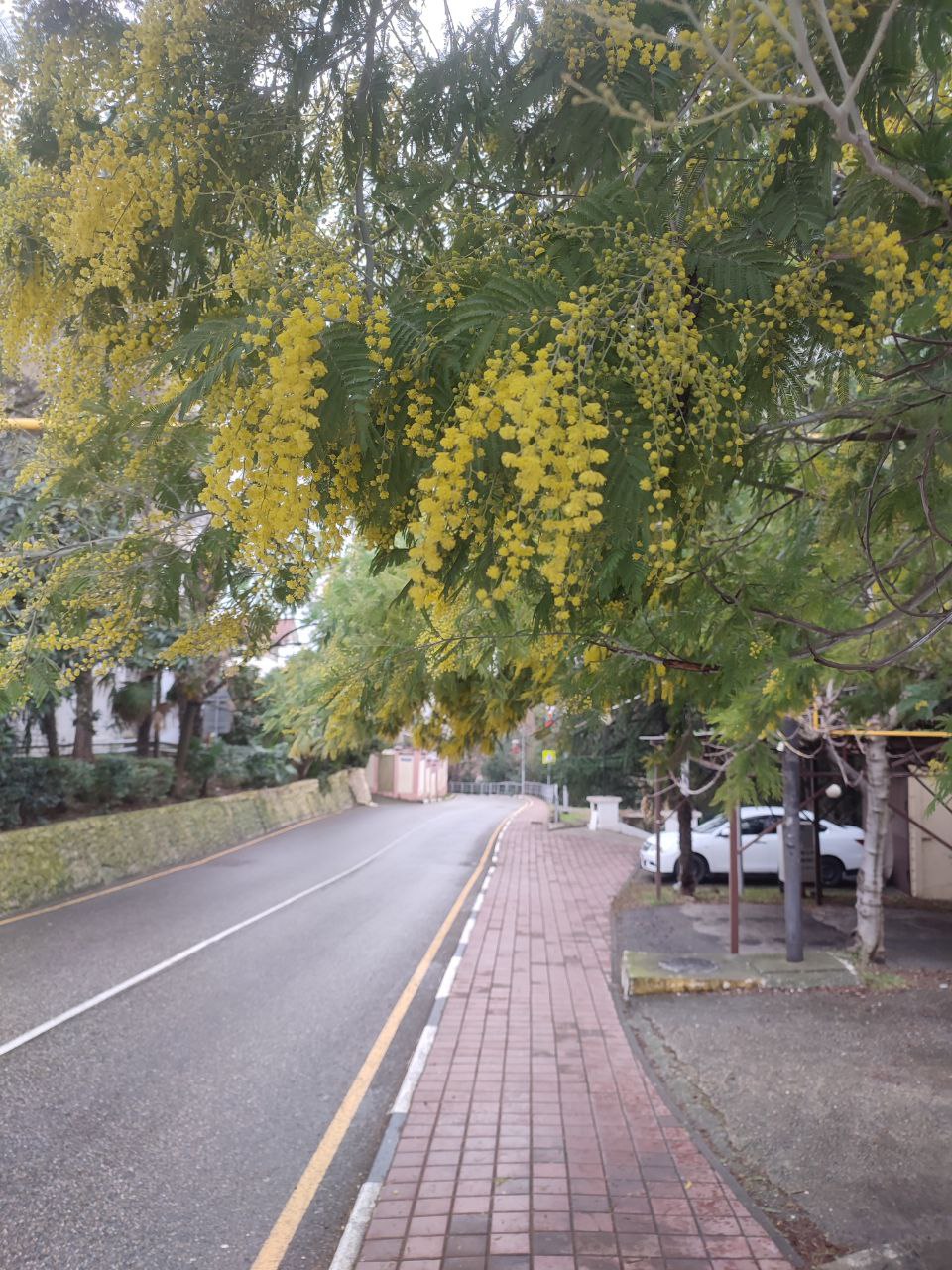 Начнем день с букета. Проснулись, потянулись и улыбнулись! Начинаем день с желтого и солнечного букета Начнем день с букета. Проснулись, потянулись и улыбнулись! Начинаем день с желтого и солнечного букета