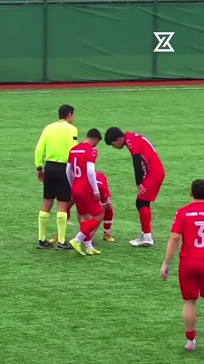 Футболисты сначала сбили мячом, а потом спасли чайку