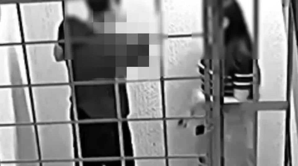 Устроивший непотребство в подъезде наркоман попал на видео