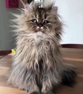 Состояние россиян после праздничных выходных