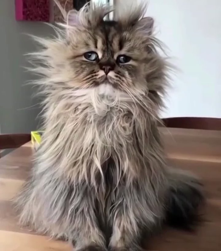 Состояние россиян после праздничных выходных