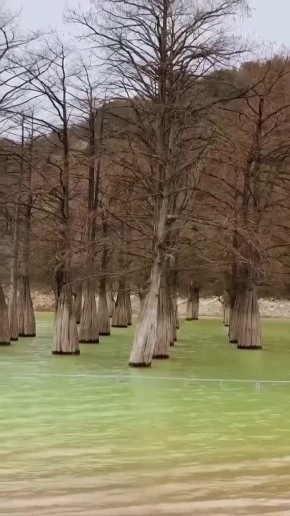 ����������..... ���� ��������: ����������� ����� �������-�� �����������. ���� � ����� ������� ��� ���������, � ������, ������ ����� ����� �������� ����� �� �����������