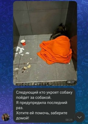 ����� ����� �������� �� ���� ������ ��-�� �������� � ����������: ��� ������� ������� �� ��, ��� �� ����� ������ ��������� ������ � 20-��������� �����