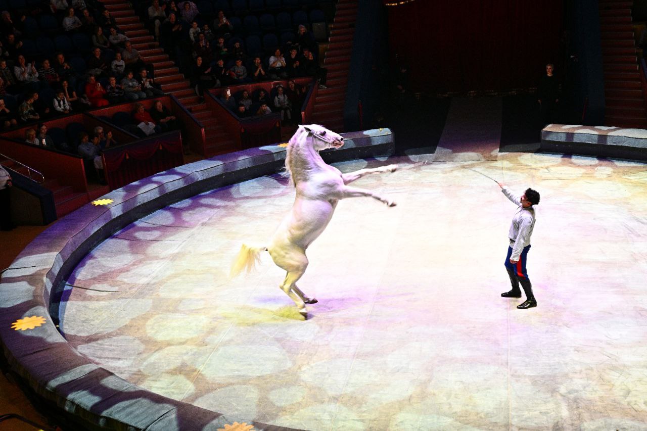 В Сочинском цирке в честь Дня защитника Отечества состоялся праздничный концерт В Сочинском цирке в честь Дня защитника Отечества состоялся праздничный концерт