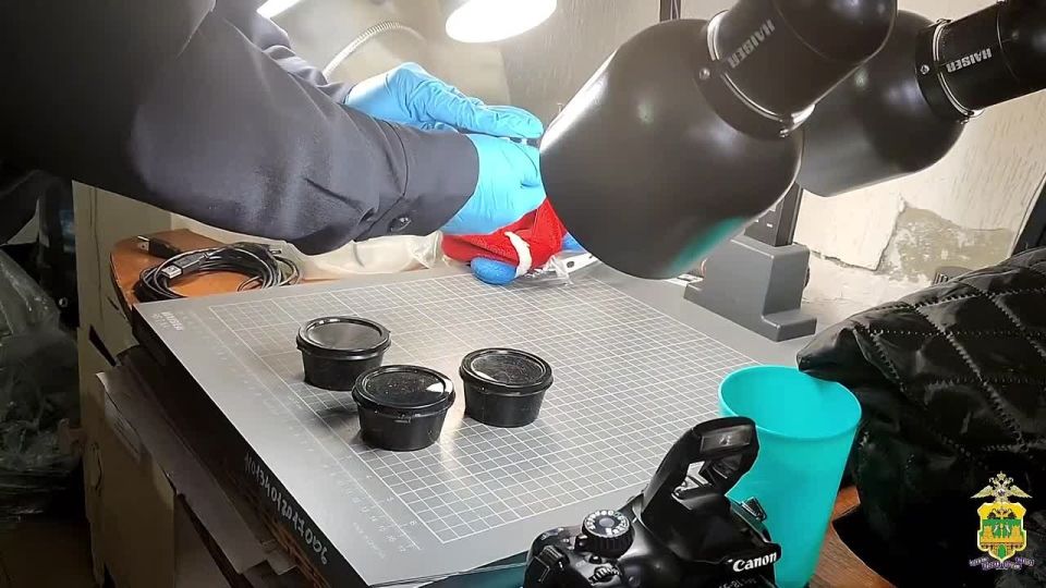 Дед Мороз с «сюрпризом»: почти 120 граммов марихуаны спрятал житель Абинска в новогоднюю игрушку