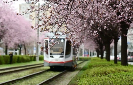 � ����� �������� ������� ������