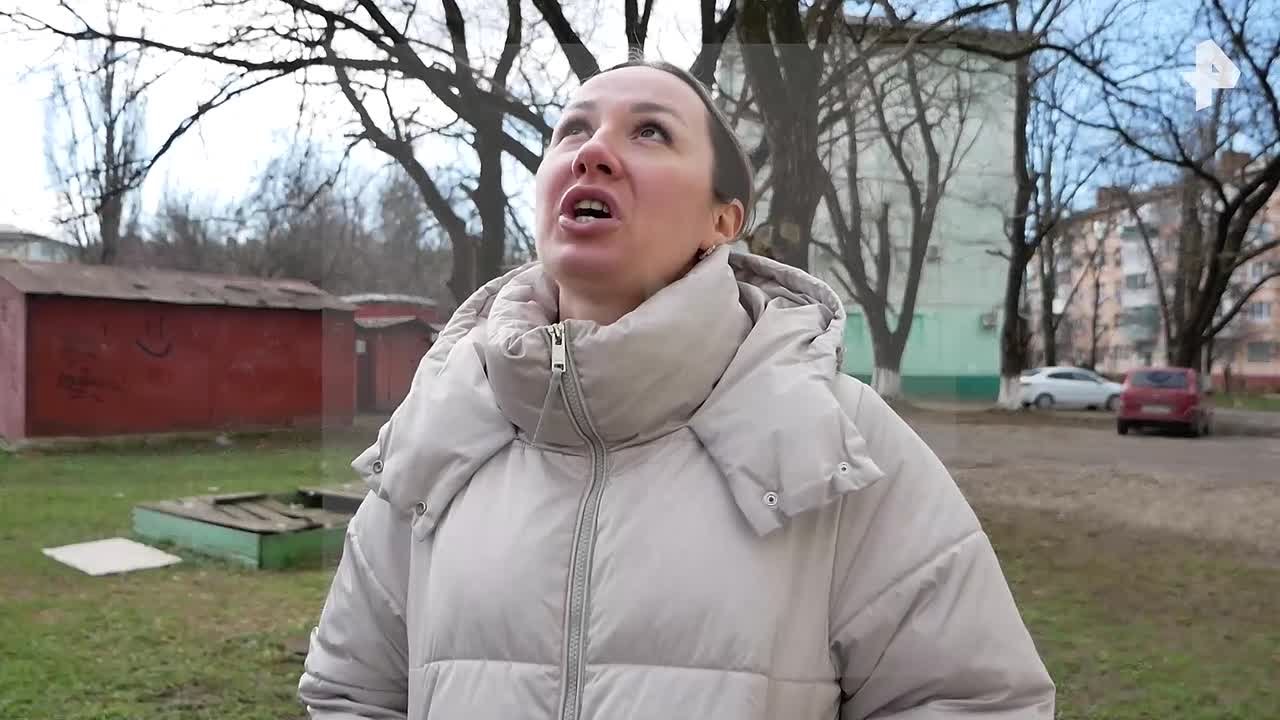 Вместо кота — енот на дереве: в Армавире местные жители вызволили из веток лесного зверя