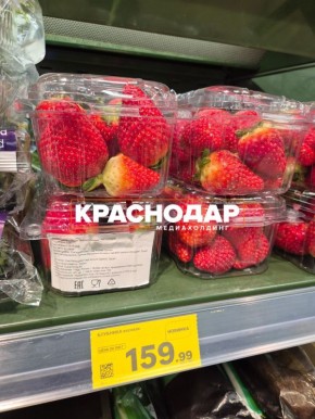 Клубника появилась в краснодарских магазинах