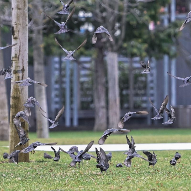 � ����� ��������� ����� ��������